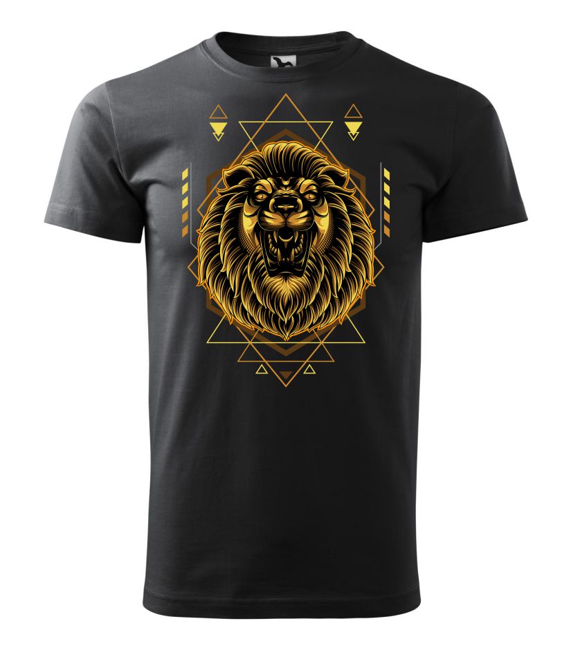 Geometric LION