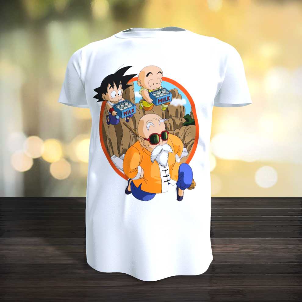 DRAGON BALL 13